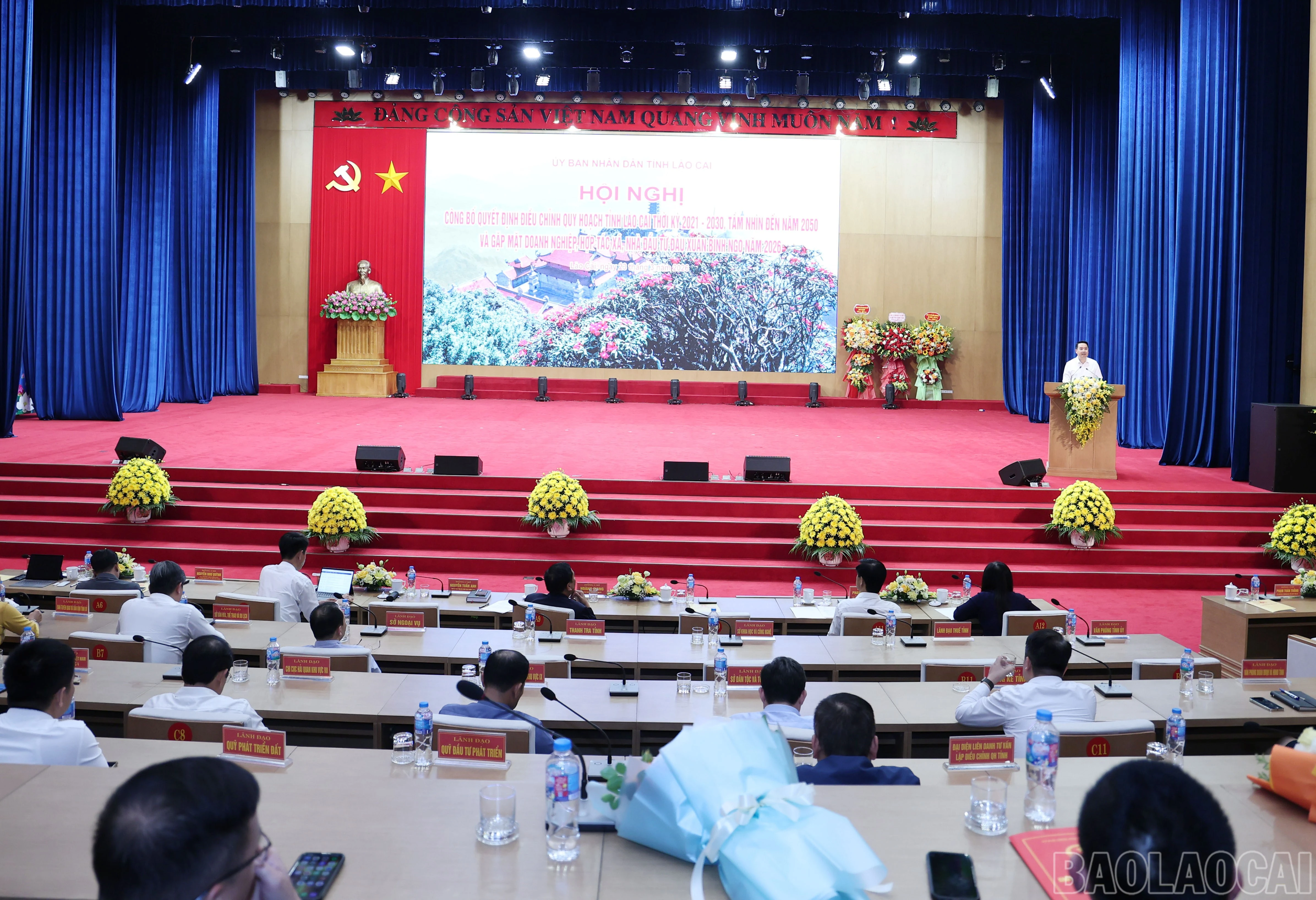 baolaocai-br_img-0627.jpg