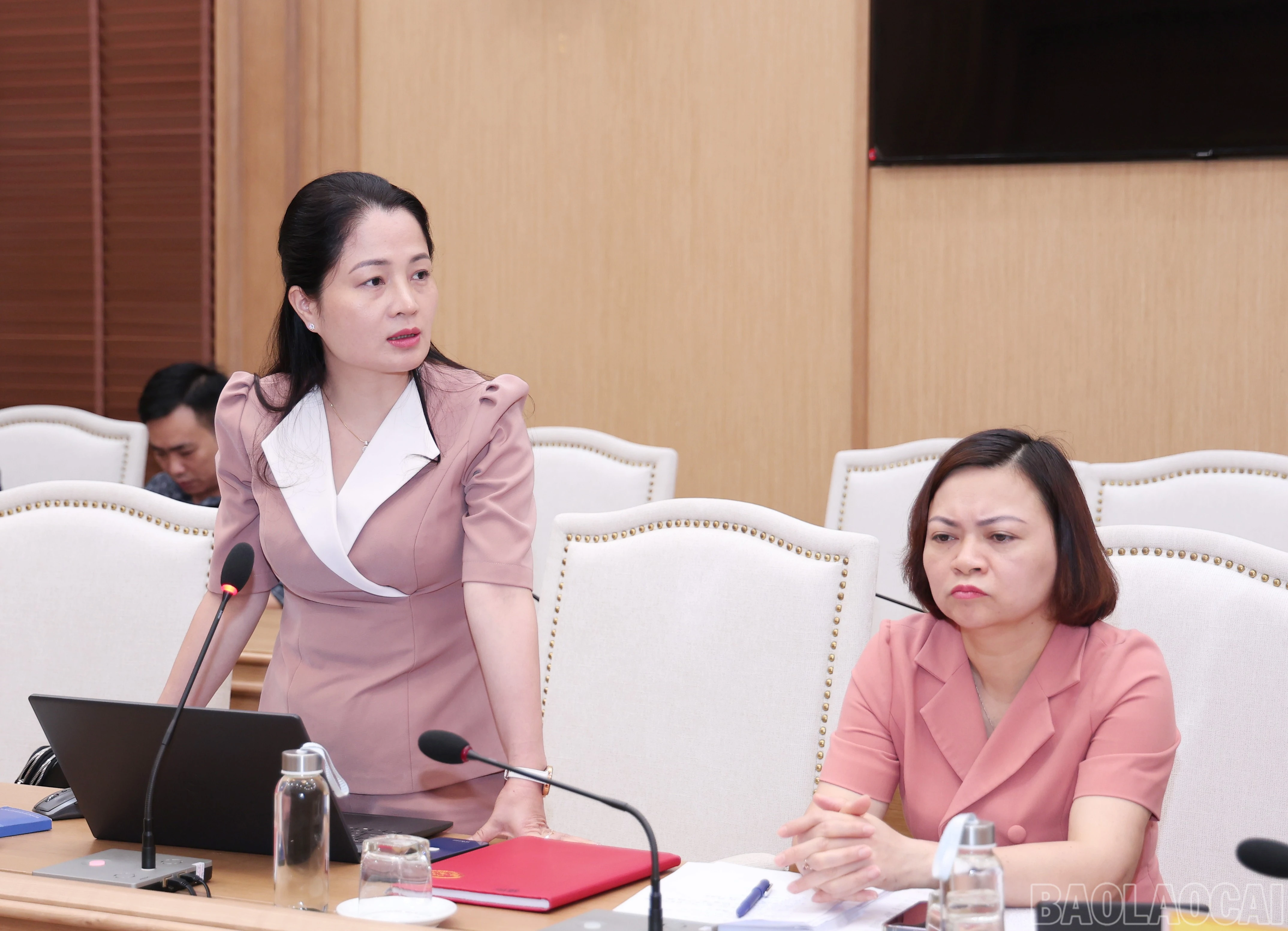 baolaocai-br_img-3488.jpg