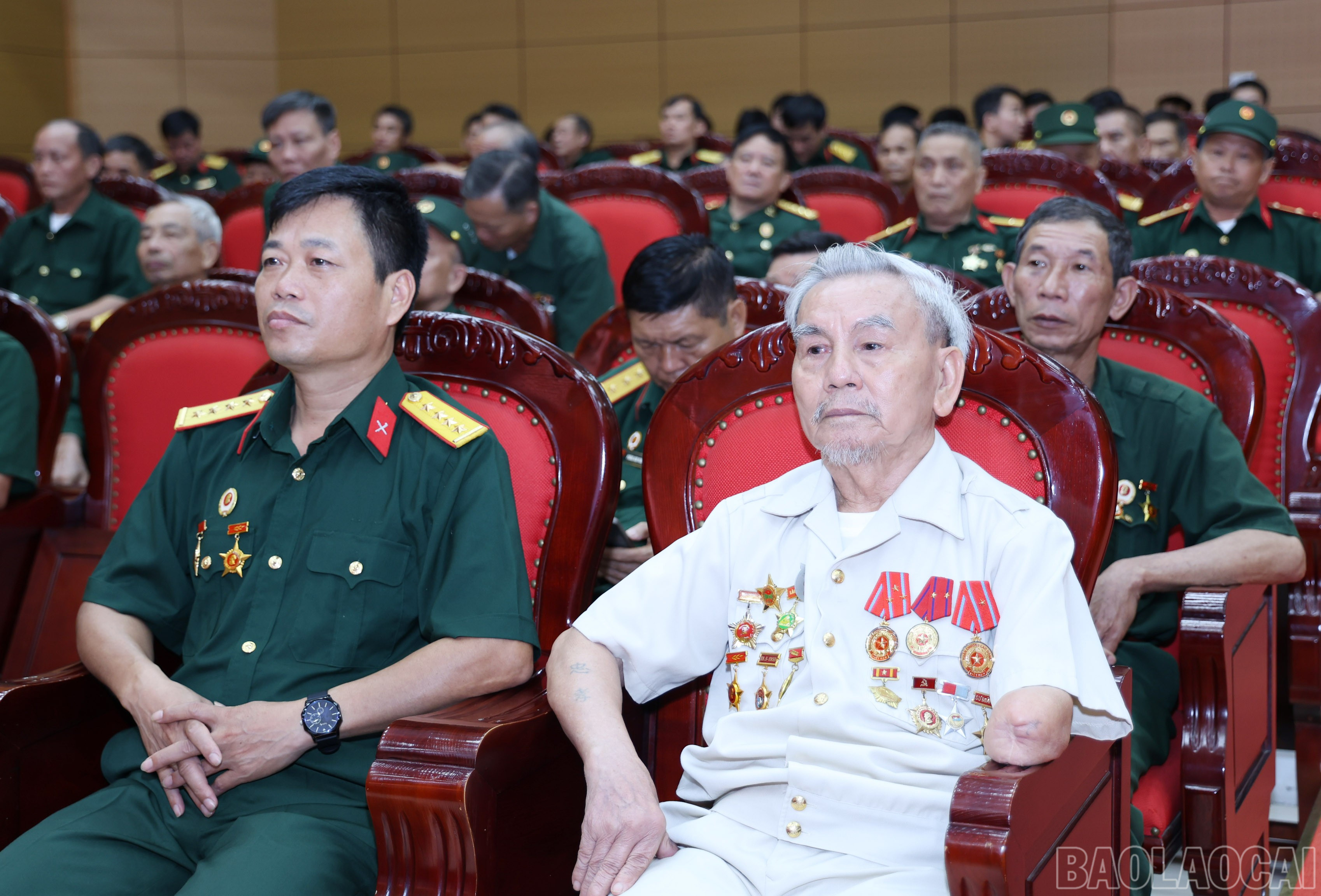 baolaocai-br_img-9929.jpg