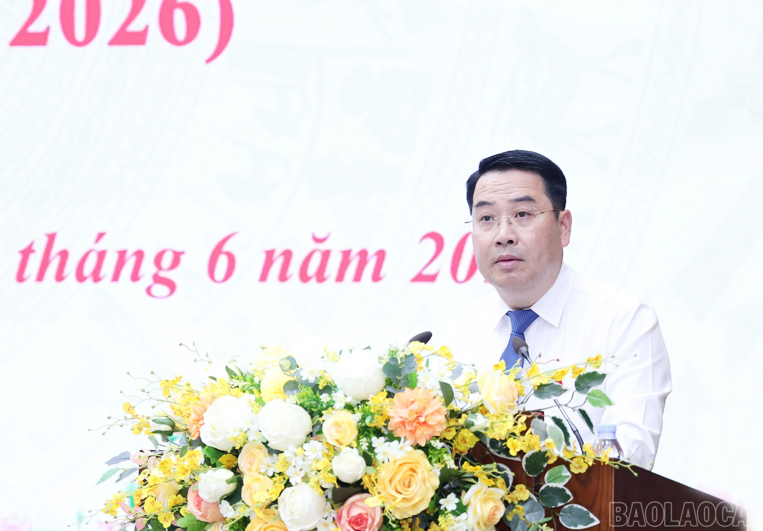 baolaocai-br_img-9398.jpg