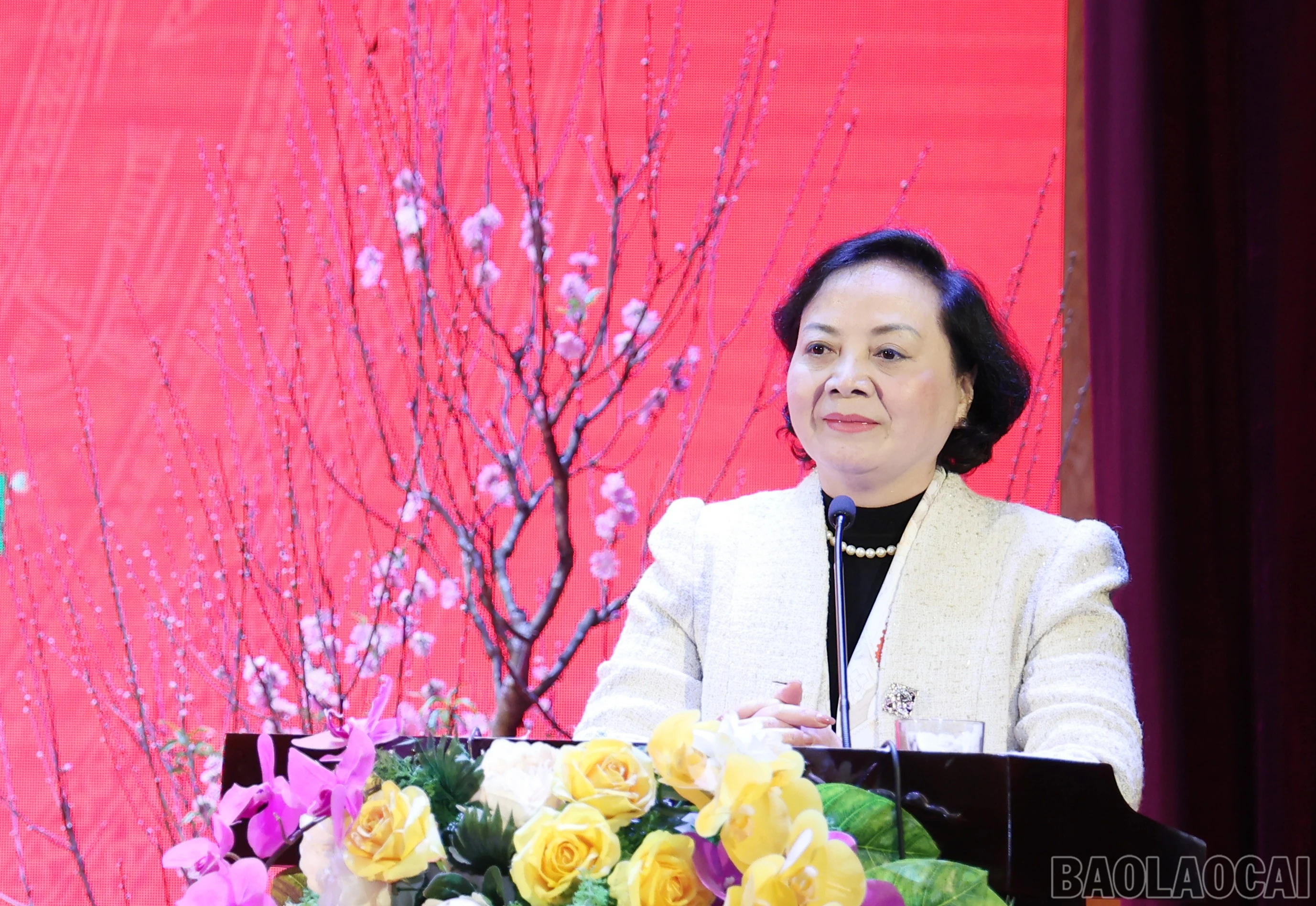 baolaocai-br_img-9640.jpg