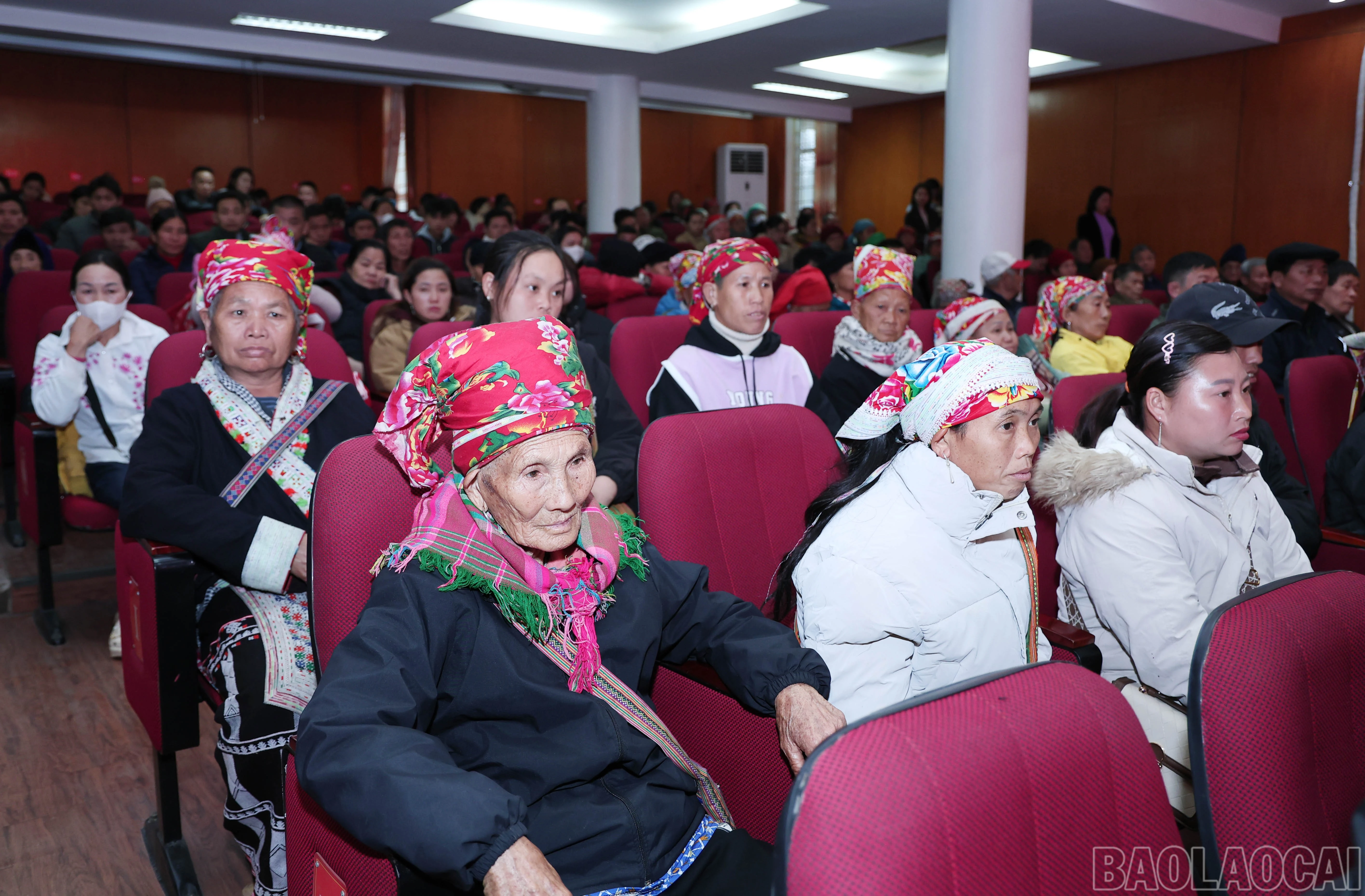 baolaocai-br_img-9620.jpg