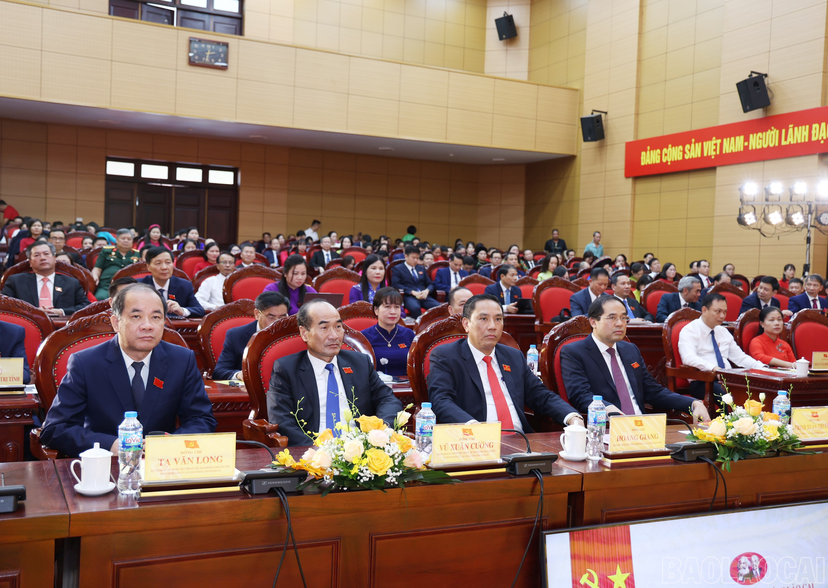 baolaocai-br_img-9306.jpg