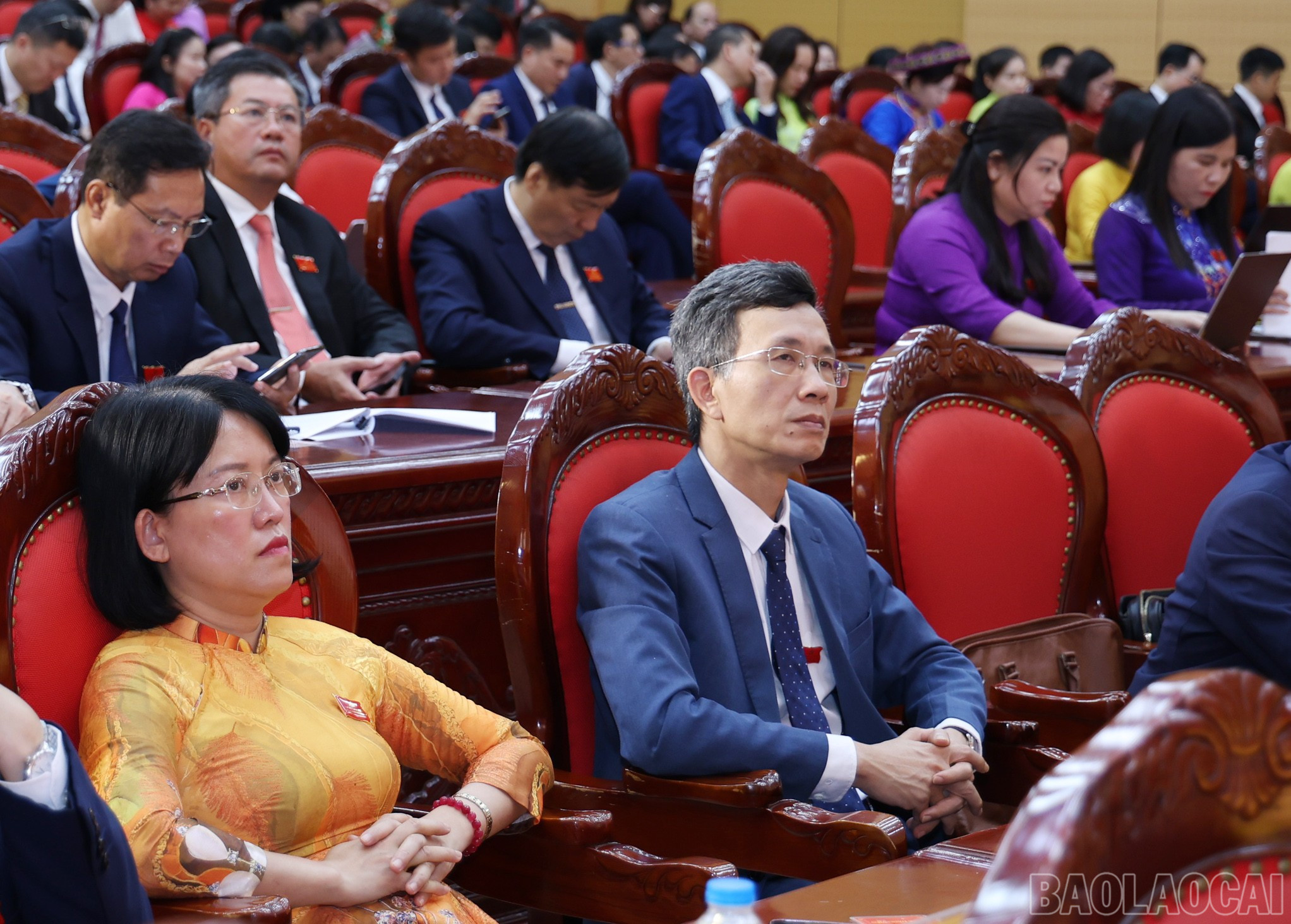 baolaocai-br_img-9361.jpg