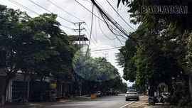 Dọn “rác trời” vì sự an toàn của người dân và mỹ quan đô thị
