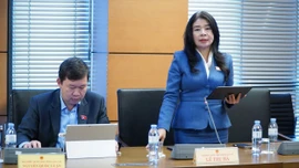 Đại biểu Quốc hội tỉnh Lào Cai đề xuất tăng tính linh hoạt trong thu hồi và bồi thường đất