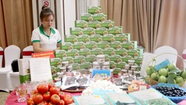 Lào Cai: Kinh tế số chiếm 9,46% GRDP