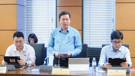 Đoàn Đại biểu Quốc hội tỉnh Lào Cai thảo luận các dự án Luật về hàng không, viên chức và giáo dục