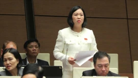 Đại biểu Quốc hội tỉnh Lào Cai Nguyễn Thị Lan Anh đề xuất giải pháp trong quản lý khoáng sản