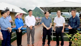 Đổi mới phương thức, nâng cao chất lượng hoạt động giám sát chuyên đề của HĐND các cấp