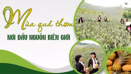Mùa quả thơm nơi đầu nguồn biên giới