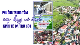 Phường Trung Tâm xây dựng mô hình kinh tế đa trụ cột