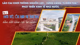 Bài 2: Điều tiết, ổn định thị trường, dẫn dắt khu vực tư nhân