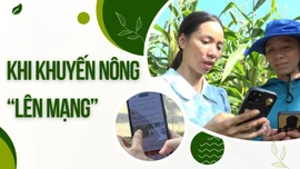 Khi khuyến nông “lên mạng”