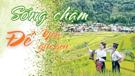Sống chậm để yêu, để giữ gìn...