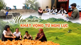 “Ươm mầm” khát vọng từ nghị lực