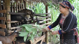 Xã Yên Bình: Tỷ lệ hộ nghèo giảm còn hơn 1% 