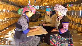 Độc đáo nhà ngô Màng Mủ
