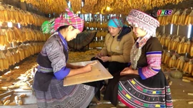 Độc đáo nhà ngô Màng Mủ