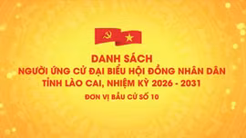 Danh sách chính thức những người ứng cử đại biểu HĐND tỉnh Lào Cai, nhiệm kỳ 2026 - 2031 (đơn vị bầu cử số 10)