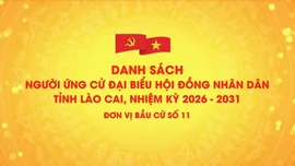 Danh sách chính thức những người ứng cử đại biểu HĐND tỉnh Lào Cai, nhiệm kỳ 2026 - 2031 (đơn vị bầu cử số 11)