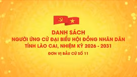 Danh sách chính thức những người ứng cử đại biểu HĐND tỉnh Lào Cai, nhiệm kỳ 2026 - 2031 (đơn vị bầu cử số 11)