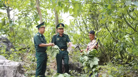 Si Mai Cai - Từ sinh kế xanh đến cuộc sống bình yên nơi biên giới