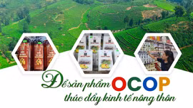 Để sản phẩm OCOP thúc đẩy kinh tế nông thôn