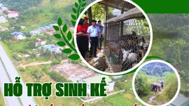 Hỗ trợ sinh kế giúp hộ nghèo vươn lên