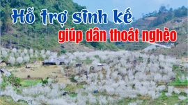 Hỗ trợ sinh kế giúp dân thoát nghèo