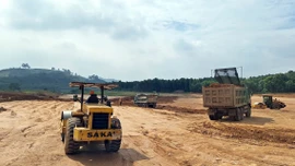 Lào Cai đẩy nhanh tiến độ các dự án đầu tư nông nghiệp công nghệ cao