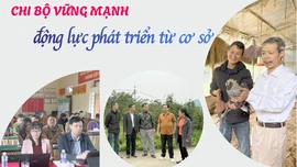 Chi bộ vững mạnh - động lực phát triển từ cơ sở