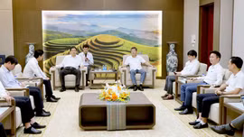 Phó Chủ tịch Thường trực UBND tỉnh Ngô Hạnh Phúc tiếp Đoàn công tác Tập đoàn Dược phẩm Nippon Zoki Nhật