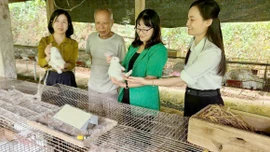 Dân vận khéo - đòn bẩy cho các mô hình kinh tế ở Yên Bình