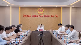 Lào Cai: Rà soát kỹ từng phần việc, sẵn sàng cho Hội nghị Xúc tiến đầu tư năm 2026