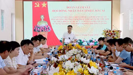 Đoàn giám sát của HĐND tỉnh giám sát việc bồi thường, tái định cư và quản lý tài sản công tại phường Văn Phú