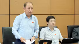 Đoàn đại biểu Quốc hội tỉnh Lào Cai tham gia thảo luận tại tổ về một số dự thảo luật 