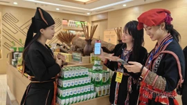 Khoảnh khắc số trong đời sống người dân Lào Cai