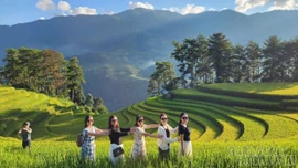 Đồng bộ giải pháp phát triển ngành kinh tế mũi nhọn 