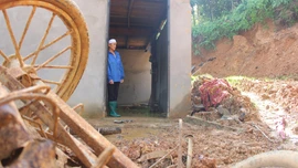 Nước mắt hai người phụ nữ