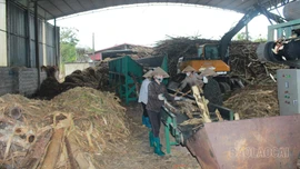 Phúc Lợi trên hành trình trở thành xã phát triển lâm nghiệp của tỉnh