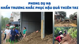 Phong Dụ Hạ khẩn trương khắc phục hậu quả thiên tai