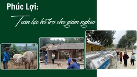 Phúc Lợi toàn lực hỗ trợ cho giảm nghèo