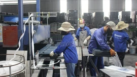 Xanh hoá sản xuất, nâng tầm thương hiệu Lào Cai