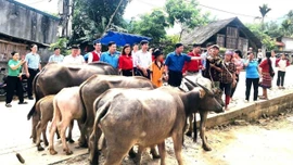 Toàn tỉnh có 913 địa chỉ nhân đạo