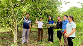 Công tác giảm nghèo ở Bảo Thắng 