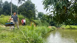 Những "hạt nhân" lan tỏa phong trào sản xuất, kinh doanh giỏi ở Mậu A