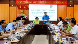 Hội nghị bàn tròn cấp tỉnh Chương trình Hỗ trợ rừng và trang trại FFF II