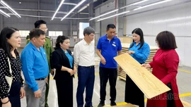 Đẩy mạnh phát triển công đoàn trong doanh nghiệp ngoài Nhà nước