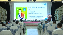 Hơn 200 đại biểu được tập huấn Luật Công đoàn số 50/2024/QH15 và Luật Bảo hiểm xã hội số 41/2024/QH15
